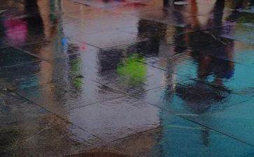 《小英雄雨来》书的读后感优秀7篇