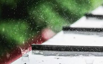 小雨来了作文推荐5篇