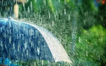 雨与家的故事读后感7篇