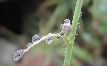 《小英雄雨来》书的读后感5篇