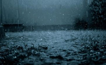 在雨中作文300字6篇