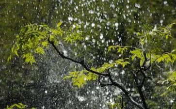 《雨来》电影观后感8篇