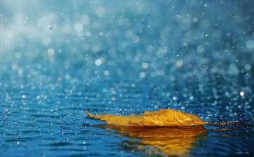 读《小英雄雨来》的读后感600字7篇
