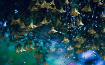 小英雄雨来读后感400字6篇