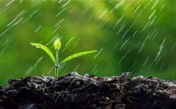 看雷雨话剧观后感5篇