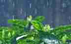 关于雨作文优秀7篇