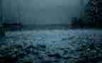 雨来故事演讲稿范文8篇