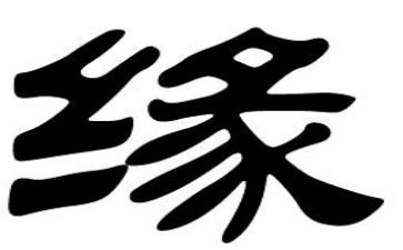 生命缘的观后感优质7篇