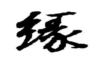 奇缘观后感参考7篇