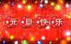 幼儿园元旦主活动方案参考5篇