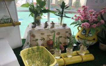 幼儿园培训教师总结优秀5篇