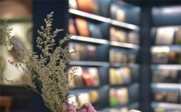 阅读的情况调查报告优秀8篇