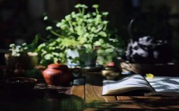 关于阅读的作文推荐7篇