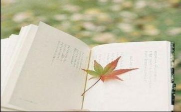 阅读感悟和心得最新5篇