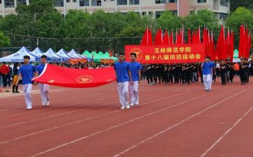 县运会工作总结5篇