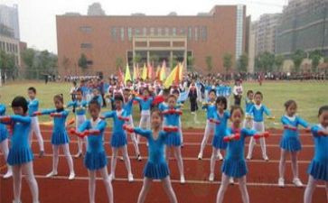 东京奥运会奥运会观后感5篇