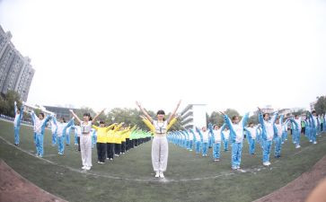 2023和2023奥运会观后感模板6篇