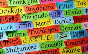 语言文字的调查报告5篇