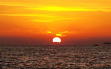 早期阅读的心得体会6篇