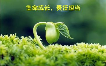 讲责任敢担当心得体会8篇