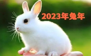 大学生展望2023演讲稿7篇