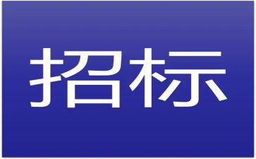 招标代理半年度工作总结7篇