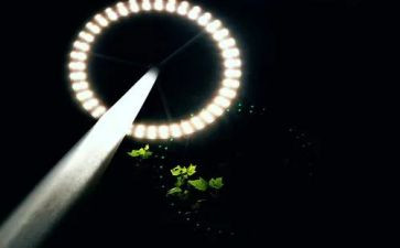 照亮作文600字优秀6篇