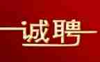 招聘调查报告5篇