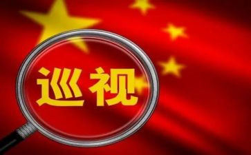酒的整改报告参考5篇