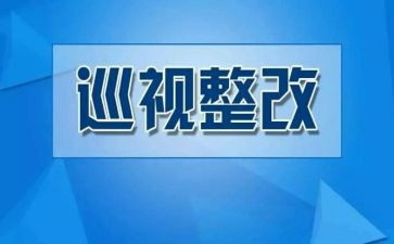 无问题整改报告5篇