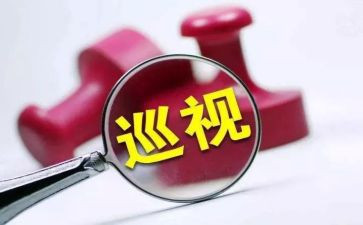 幼儿园整改活动方案6篇