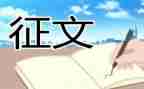 写征文活动总结最新7篇