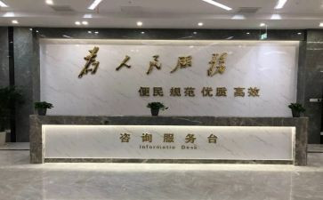 政务网工作总结6篇