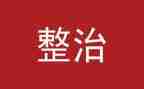 整治办的工作总结通用8篇