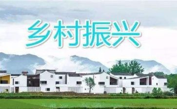 2024年乡村振兴工作总结精选7篇