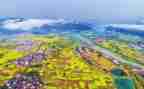 乡村振兴学习心得体会最新7篇
