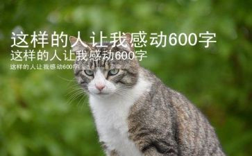 这样的人让我作文600字通用5篇