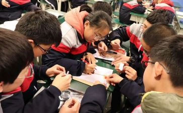 指导培养教师总结推荐8篇
