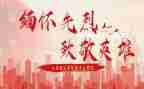 向你致敬观后感最新5篇