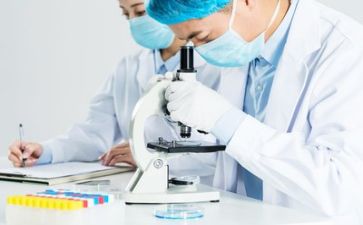 质量年工作计划优秀8篇