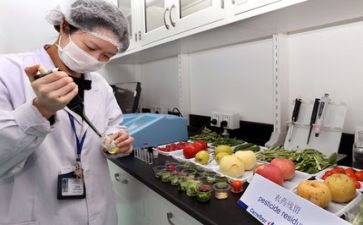 质量年工作计划精选8篇