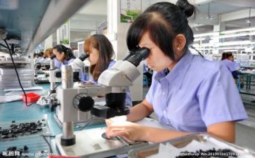 2024年质量工作总结报告7篇