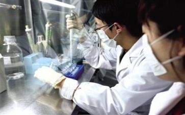 质量部的年终总结7篇