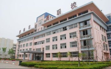 上职校的心得体会7篇