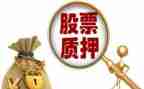 车辆质押合同5篇