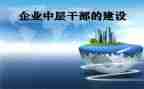中层工作总结6篇