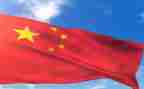我的中国年作文最新5篇