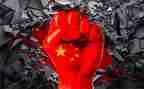 中国的柳文化演讲稿5篇