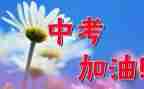 中考感恩类作文5篇