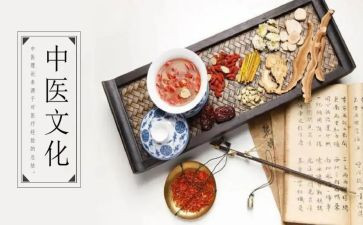 中医工作计划6篇